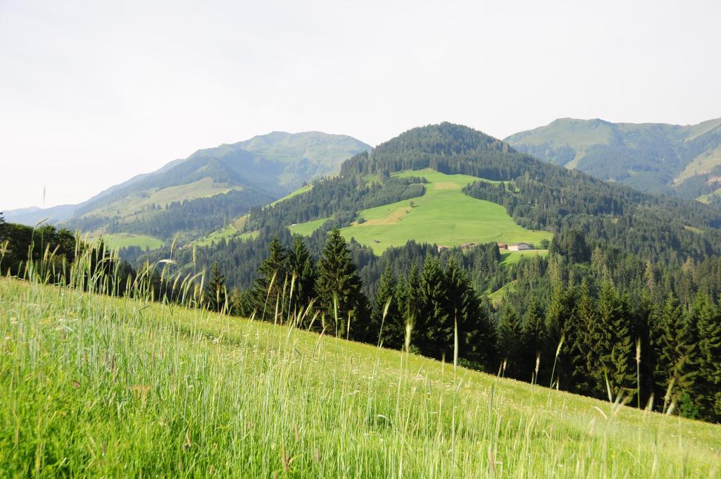 Vorderaltensberg Ауффах Экстерьер фото